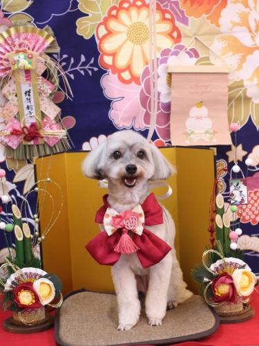 20240105チャコちゃん